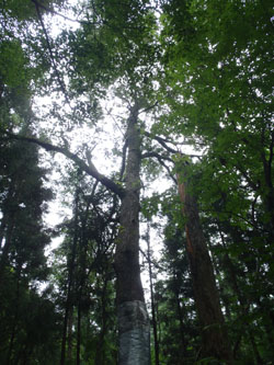 P8300004.jpg
