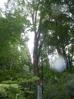 P8300007.jpg