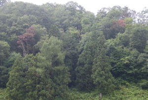 P8300010.jpg