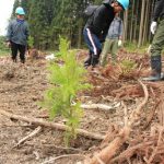 苗の周りは一切掘らないイメージです。作業の負担もぐんと減ってなんと省エネな植樹！