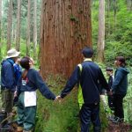 自分達も、これから手を入れていくことで美しくて強い「金山杉」になることを肌で感じました。