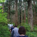 今日、植えた杉苗の未来の姿を若い参加者に見てもらいました