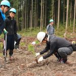 最小限に空いた穴にポット苗を差し込んで土を戻します。拍子抜けするほど手間がかかりません。