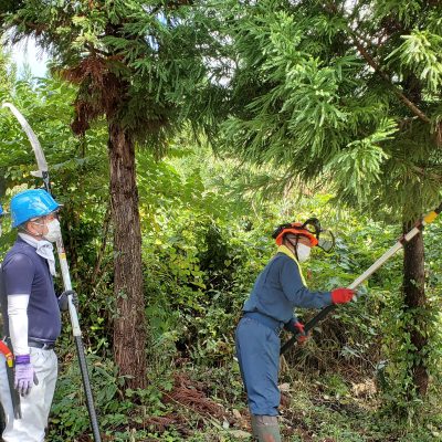 作業箇所①植樹して14年目の杉を枝打ちします。参加企業さんに枝の落とし方を指導する森林所有者。